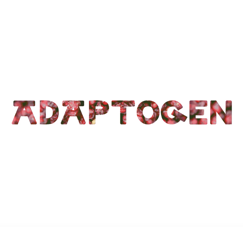 Take Back the Term: Understanding Adaptogens in Herbal Wellness