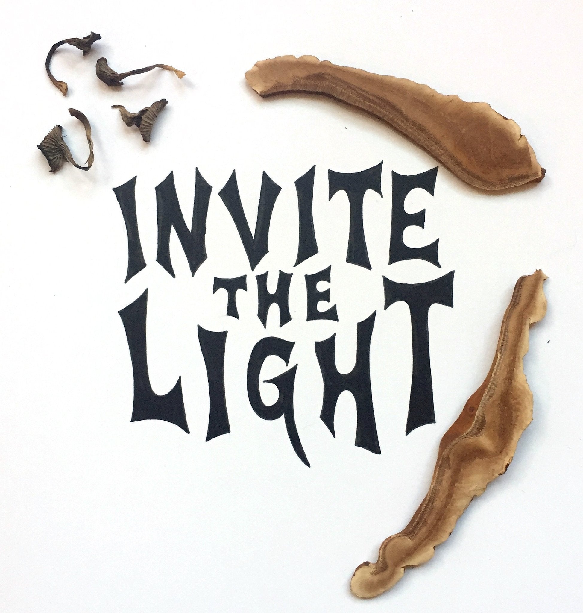 Invite the Light: Herbal Rituals to Uplift Mood and Energy Naturally