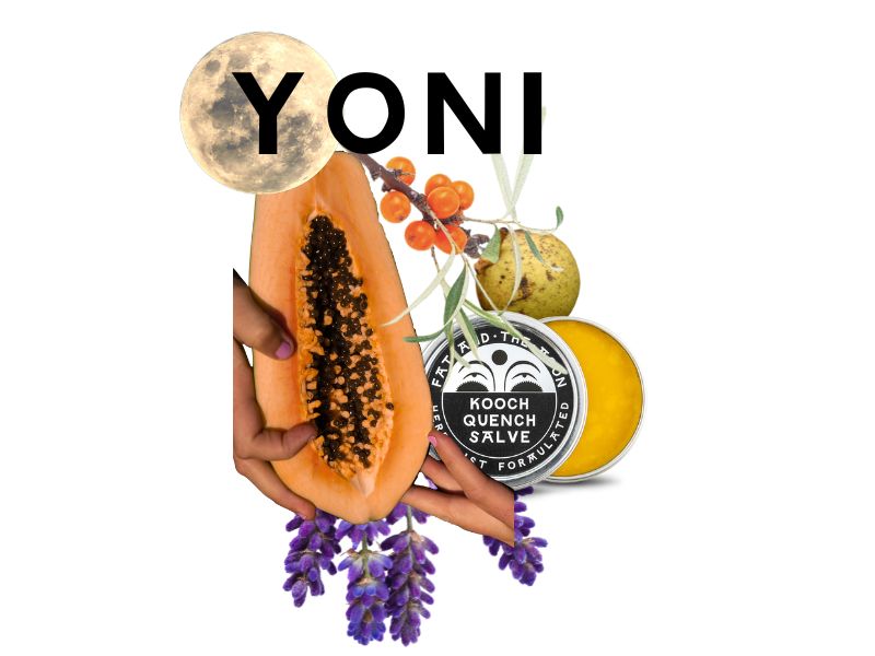 Bod Focus: Herbal Yoni Care for Feminine Balance and Empowerment